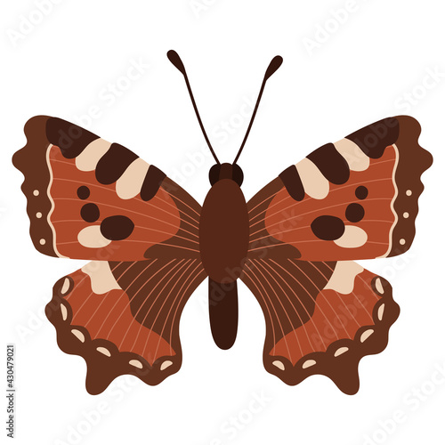 Beautifull brown red multicolored butterfly.