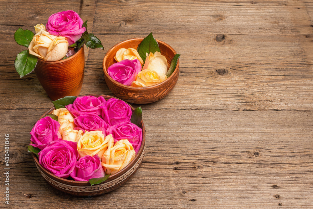 Composition of fresh multicolored roses in kitchen utensil Composition of fresh multicolored roses in kitchen utensil