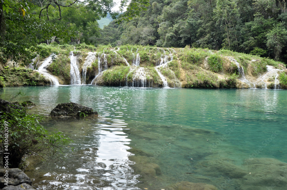 Fototapeta premium waterfall in the forest
