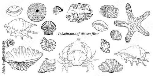 Inhabitants of the sea floor set © Miny