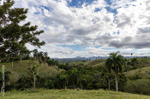 landscape with trees photo