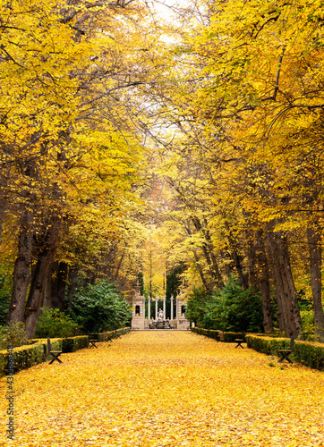 Walk of linden trees with the fallen leaves on the ground with strong golden, yellow and orange colors and at the bottom of the walk an ornamental fountain