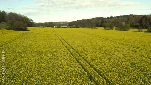 Stockholm Ekero - Aerial view of a Rapeseed field 20-04-01. High quality 4k footage photo