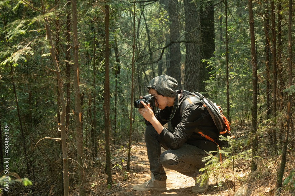 Fototapeta premium Person taking pictures in the forest