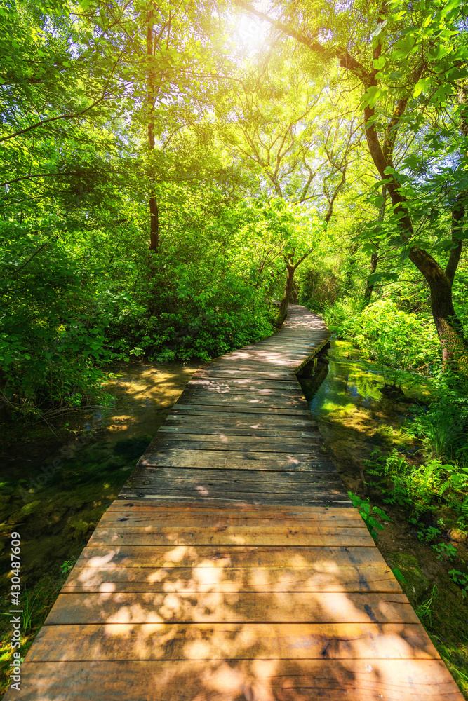 Krka national park wooden pathway in the deep green forest. Colorful summer scene of Krka National Park, Croatia, Europe. Wooden pathway trough the dense forest near Krka national park waterfalls. Krka national park wooden pathway in the deep green forest. Colorful summer scene of Krka National Park, Croatia, Europe. Wooden pathway trough the dense forest near Krka national park waterfalls.