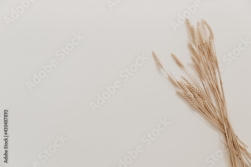 Natural dried flower on beige background. Minimal bohemian flat lay background with dried flower arrangement and copy space. Organic design. Pastel colors.