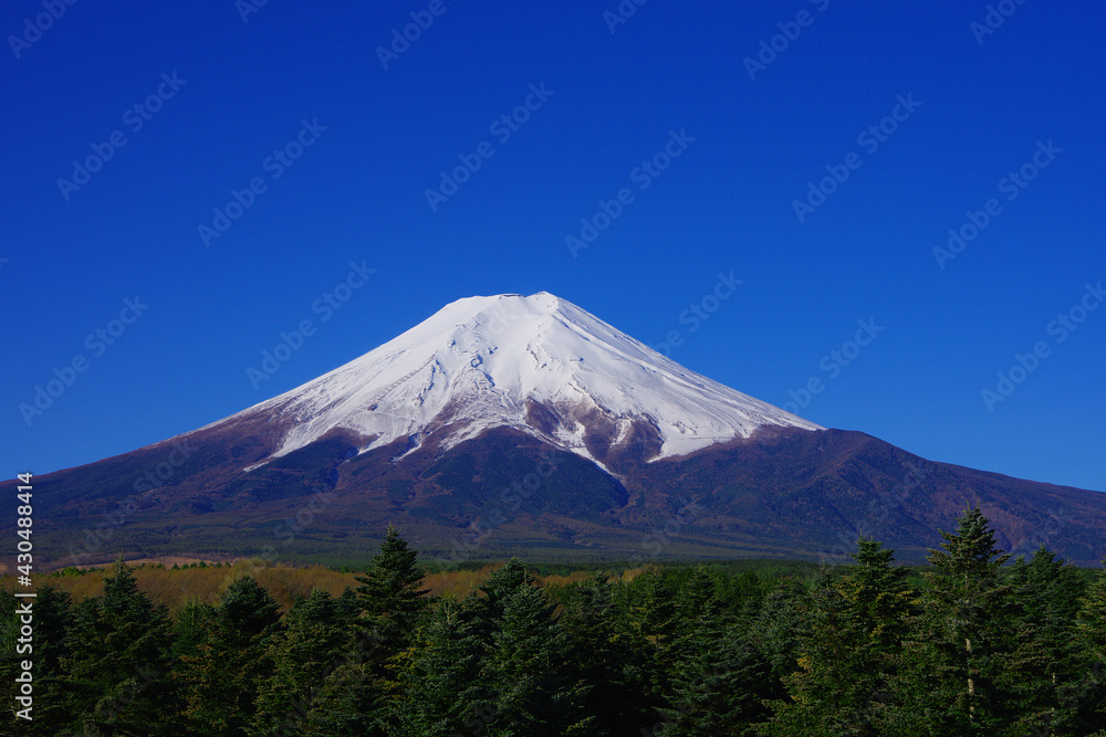 Fototapeta premium 20210426富士吉田からの再冠雪した春の青空快晴の富士山