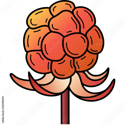 Cloudberries