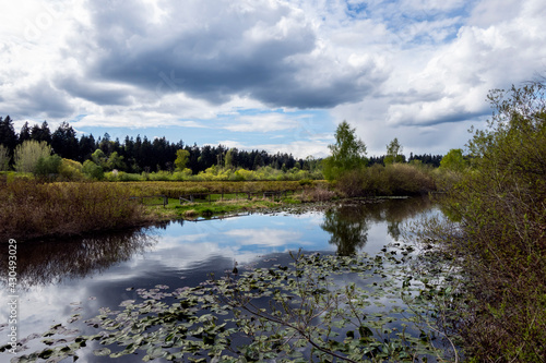 view of a large lake beside a fenced in blueberry farm in the pacific northwest on a cloudy  sunny day