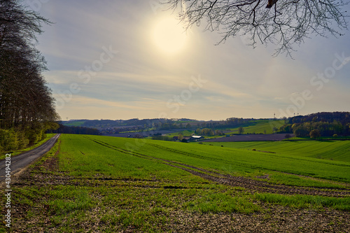 Spring landscape panorama with meadow. Looking towards Darup, Germany