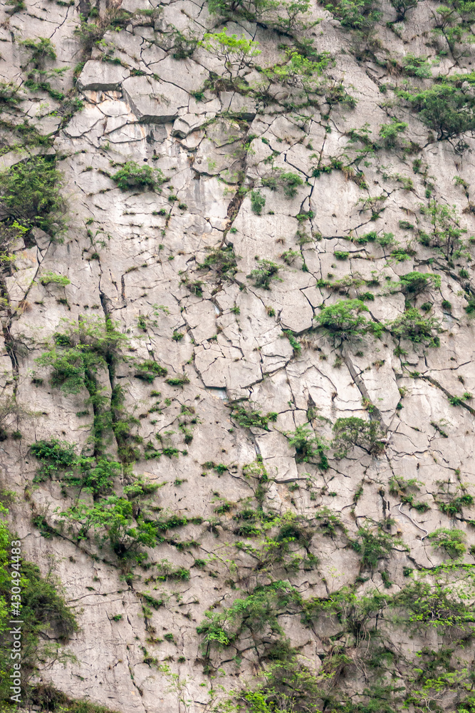 Guandukou, Hubei, China - May 7, 2010: Wu Gorge on Yangtze River. Closeup of pattern of cracks and green foliage in gray rock cliff. Guandukou, Hubei, China - May 7, 2010: Wu Gorge on Yangtze River. Closeup of pattern of cracks and green foliage in gray rock cliff.