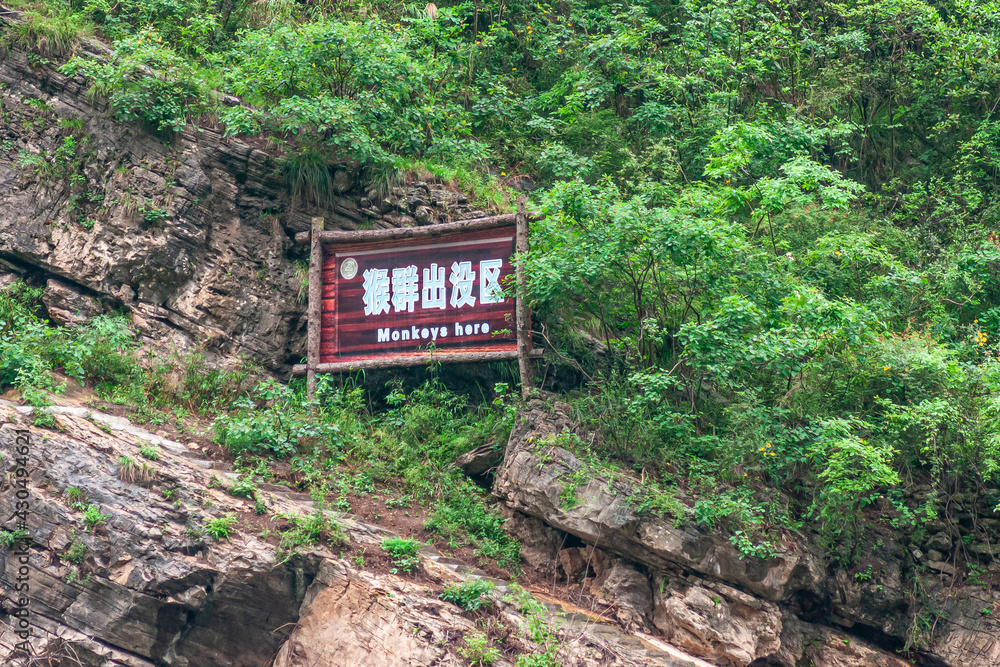 Wuchan, China - May 7, 2010: Dawu or Misty Gorge on Daning River. light blue on brown warning sign for Rhesus monkeys, set on brown rocky slope against green foliage backdrop. Wuchan, China - May 7, 2010: Dawu or Misty Gorge on Daning River. light blue on brown warning sign for Rhesus monkeys, set on brown rocky slope against green foliage backdrop.