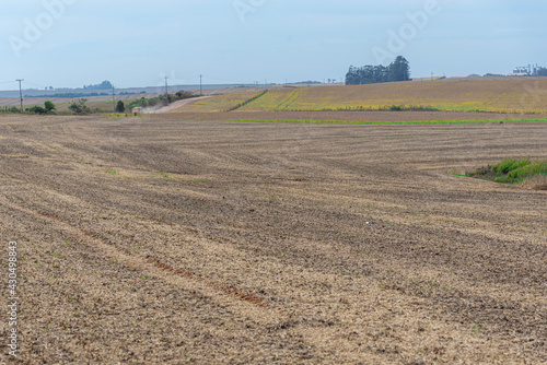 Dirt road in agricultural production area © Alex R. Brondani