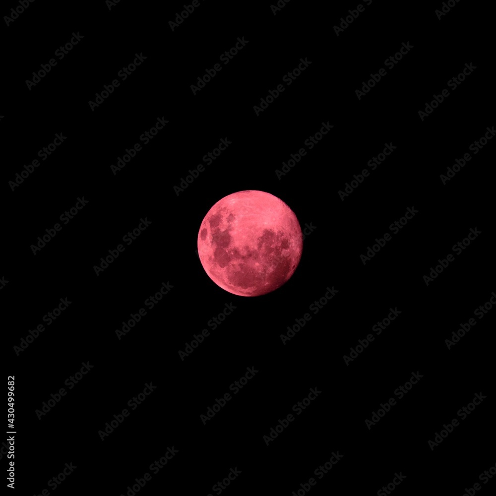 Obraz premium Large pink moon over Sydney Sky NSW Australia 