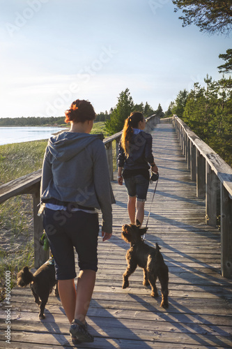 walking with the dogs on wooden boardwalk along the Huron Great Lake on Manitoulin Island, Province Bay, Canada photo