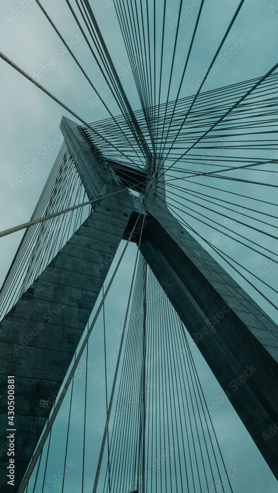 Naklejka premium Looking Up to a Bridge