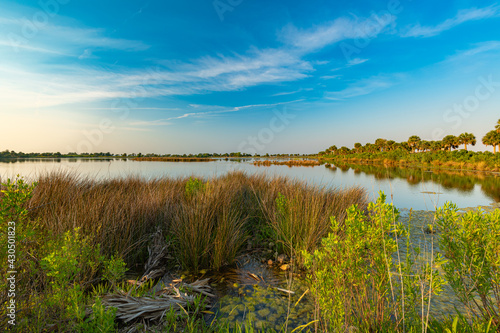 Принти на полотні St. Marks Wildlife Refuge