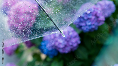 Fotografía 傘・雨