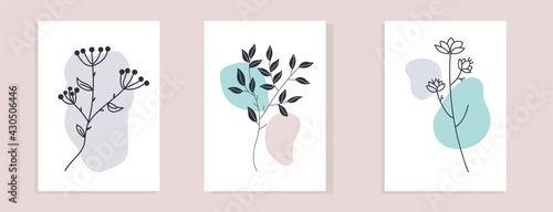 Set of Hand drawn abstract botanical. Contemporary poster set of potted flowers boho style. vector illustration