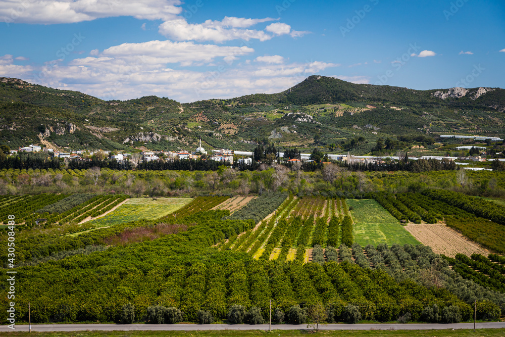 Top view of orchards with apple trees, oranges, tangerines and abrokos, bananas against the backdrop of mountains in a warm hot country