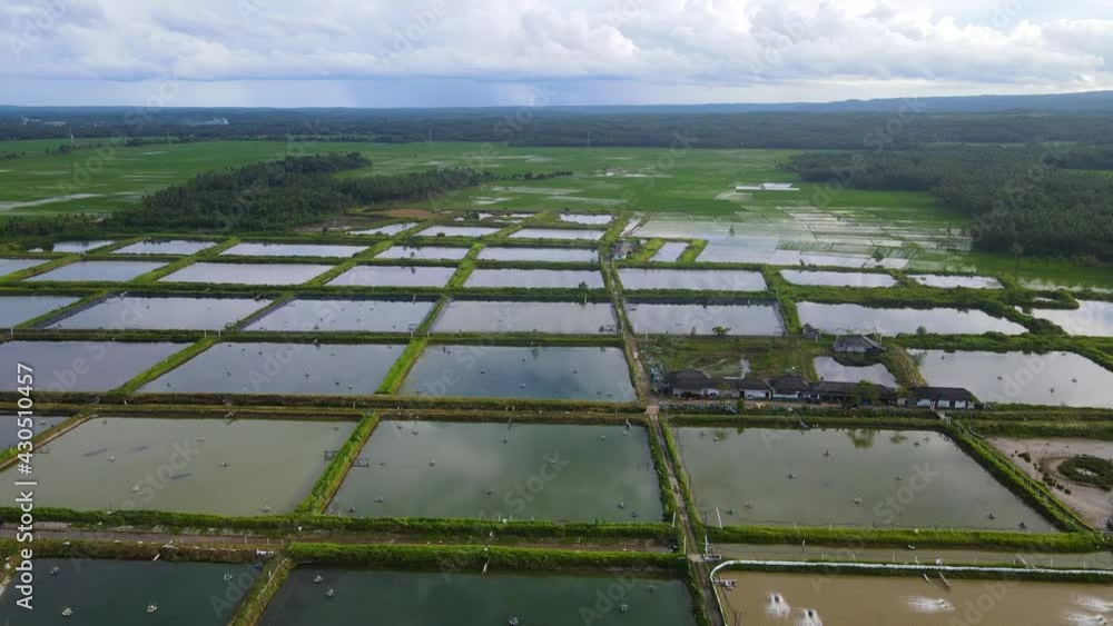 Rural shrimp farm in Indonesia, commercial aquaculture ponds aerial view Rural shrimp farm in Indonesia, commercial aquaculture ponds aerial view
