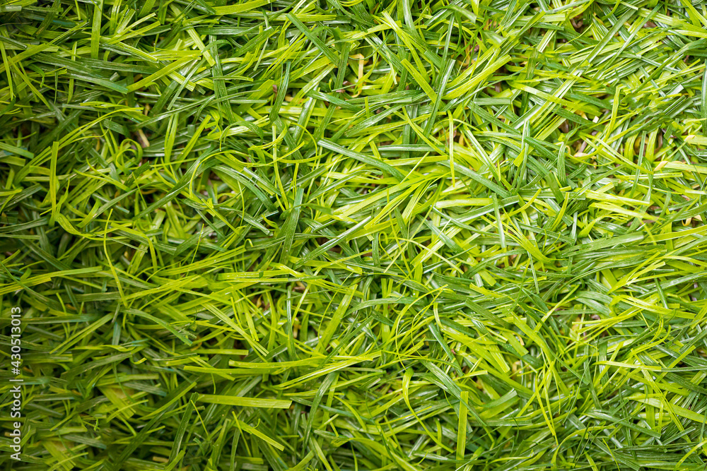 Green artificial grass for lawn decoration Green artificial grass for lawn decoration