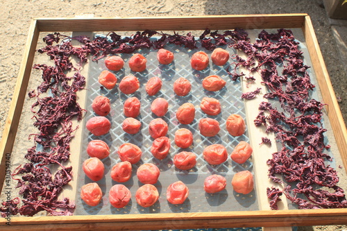 drying picled plum 