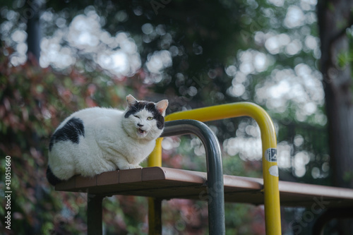 ベンチの上で