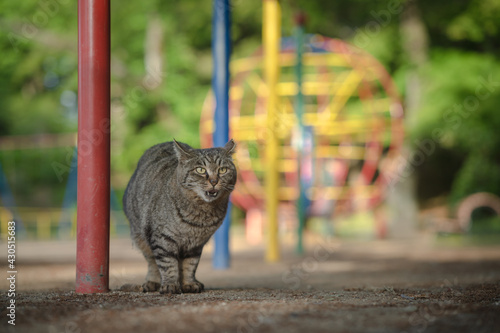 公園の中で