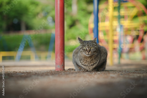 公園の中で