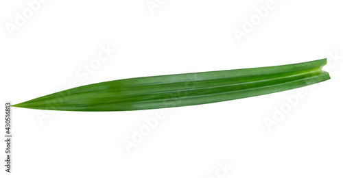 Fresh green pandan leaves isolated on white background