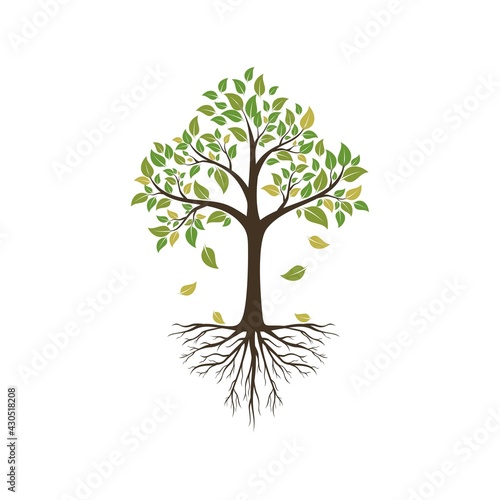 Tree logo vector 