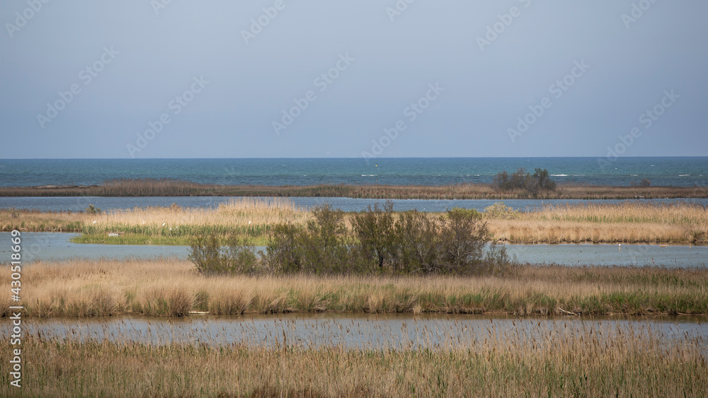 Plain coastal landscape with sea water and lakes and lagoons in Delta de l'Ebre, Catalonia