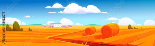 Rural landscape with hay bales on agriculture field and farm buildings. Vector cartoon illustration of countryside, farmland with round wheat straw rolls, yellow haystacks and barns