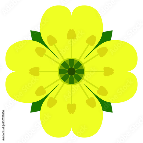 Foto Yellow flower potentilla tormentilla logoti icon