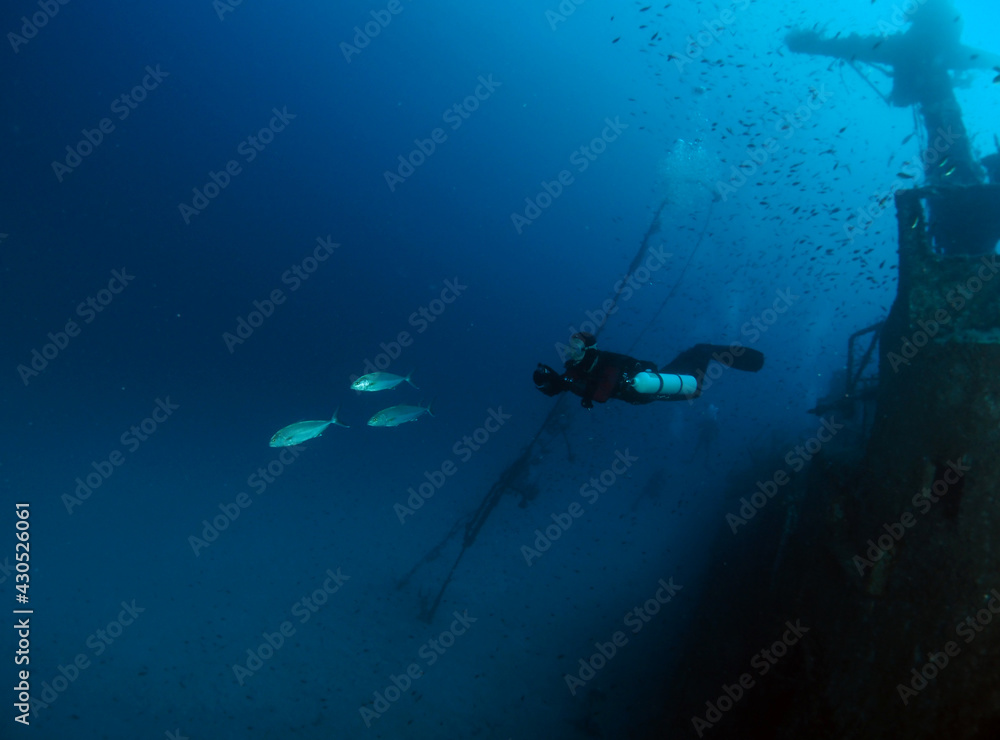 Obraz premium Scuba Diving Malta Gozo Comino