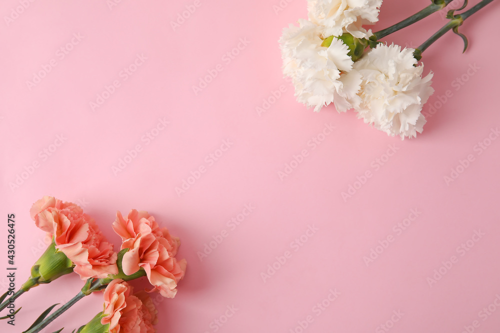 Fresh carnation flowers on color background