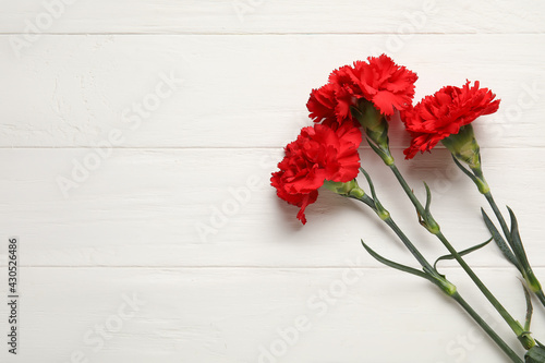 Fresh carnation flowers on white wooden background photo