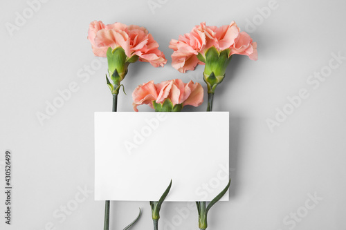 Fresh carnation flowers with empty paper sheet on grey background