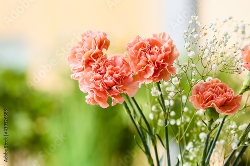 Bouquet of beautiful carnation flowers outdoors photo