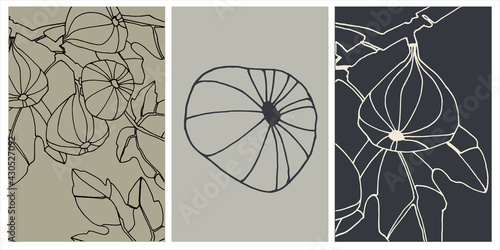 Decor printable art. Set of hand drawn vector illustrations of fig fruits on branches