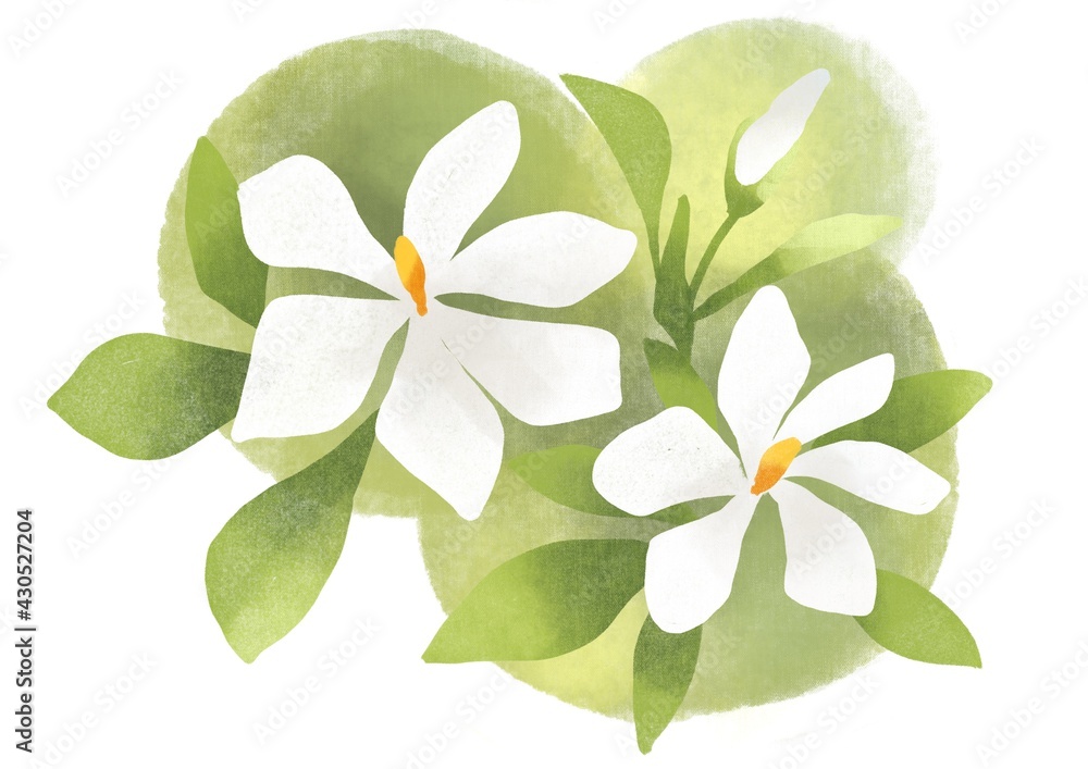 クチナシの花 ハンコ風 Stock Illustration Adobe Stock
