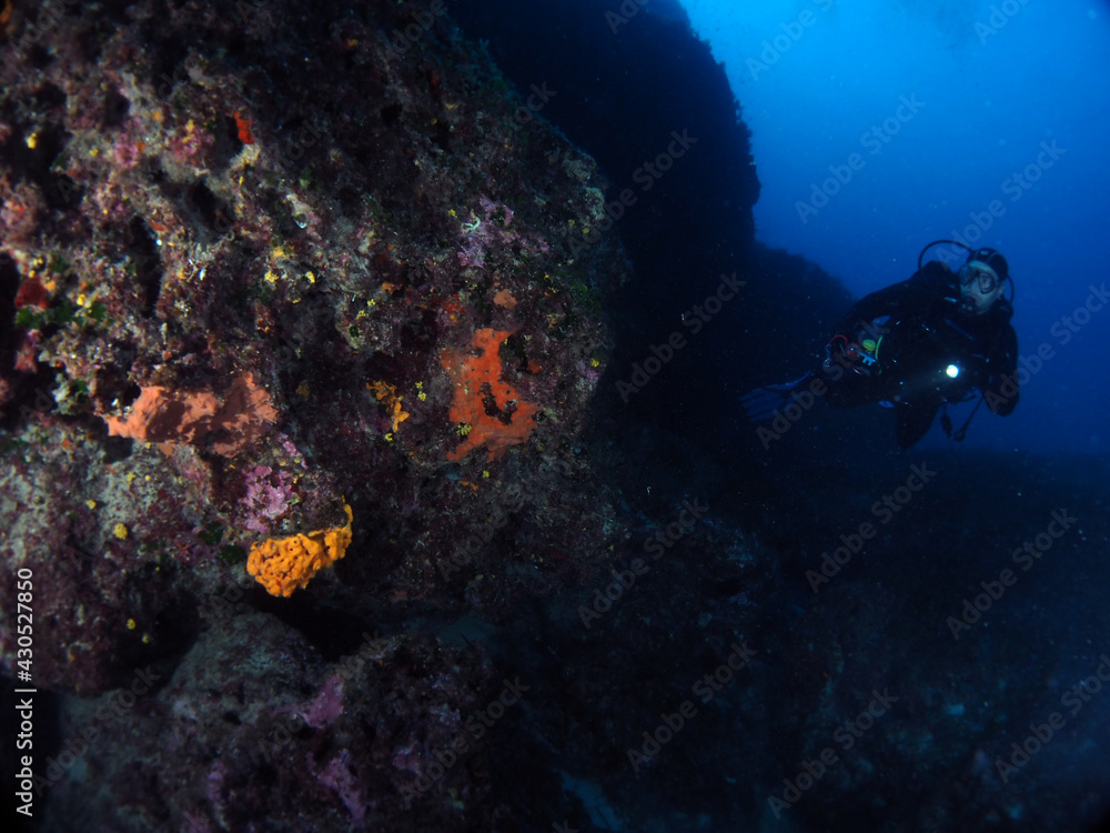 Fototapeta premium Scuba Diving Malta Gozo Comino