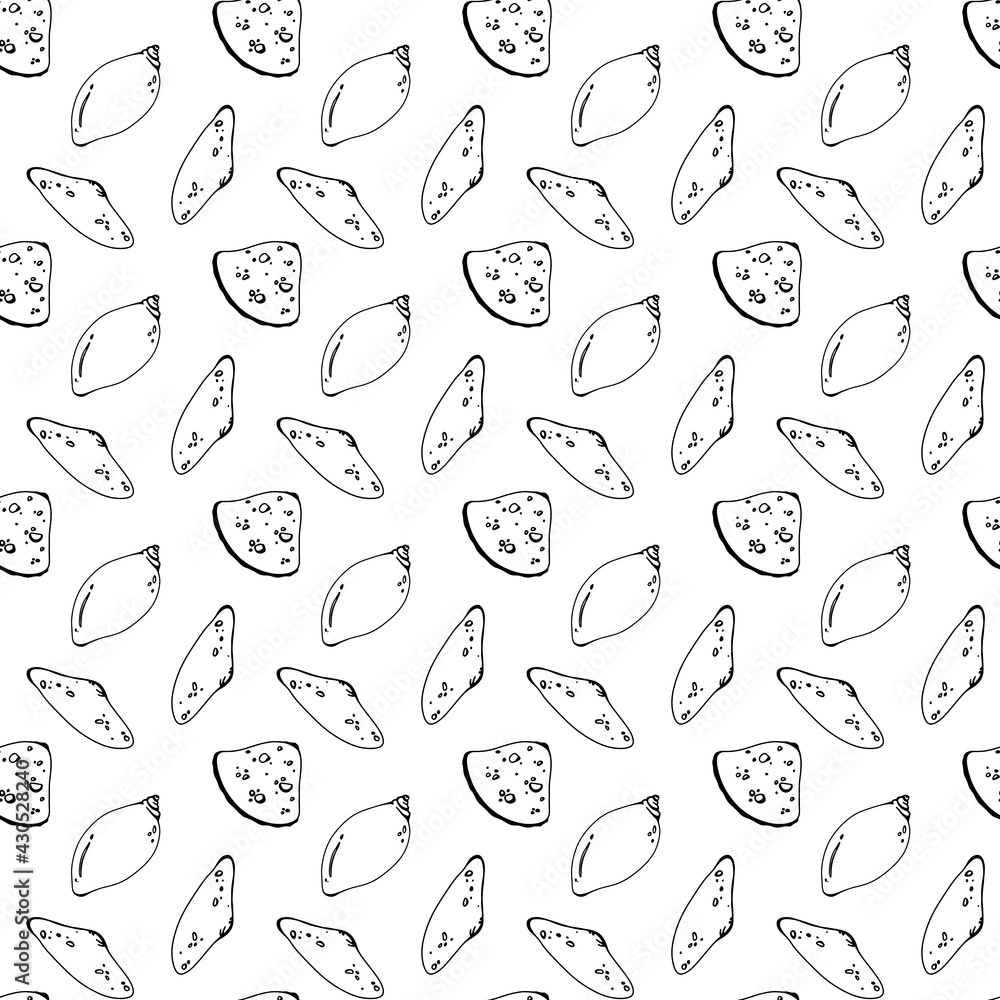 Fototapeta premium Seashell contour doodle seamless square pattern isolate on white background. Digital art. Print for menu, cafe, packaging, tesktil, postcard, banner, poster, brand