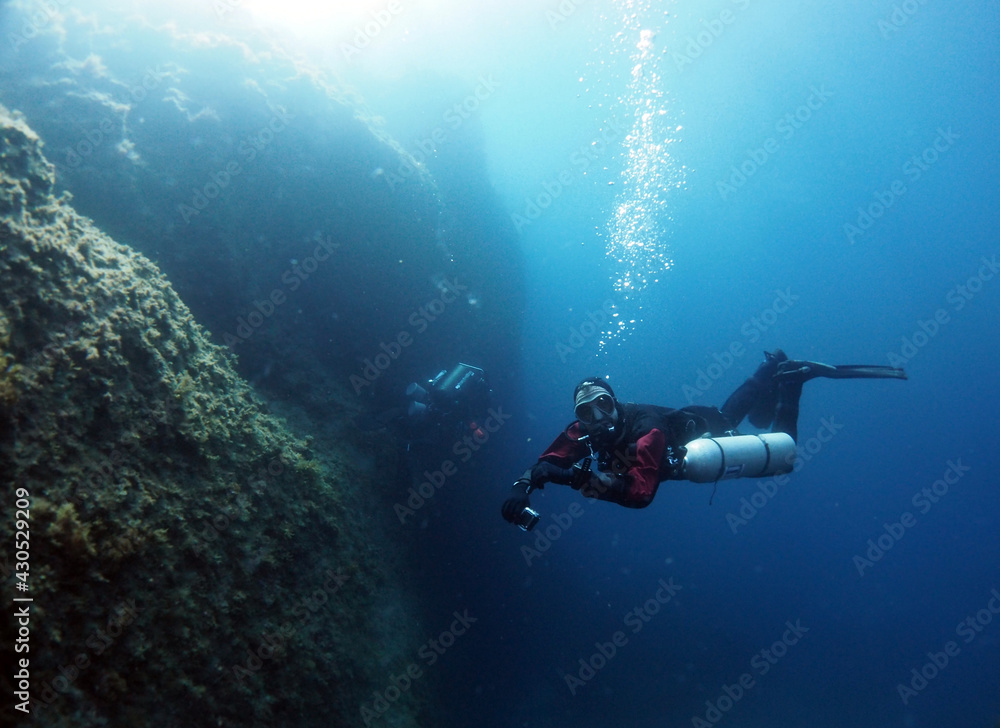 custom made wallpaper toronto digitalScuba Diving Malta Gozo Comino