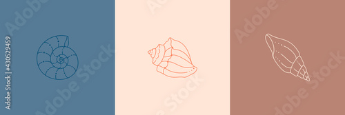 Set of Seashells Icons in a Trendy Minimal Linear Style. Vector Illustration of a Conch, Snail, Scallop