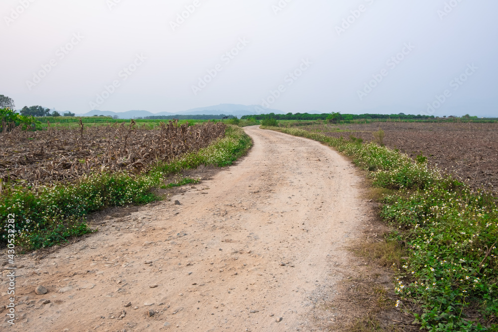 Rural dirt road and grass on both sides of the road. Path in rural fields. Rural dirt road and grass on both sides of the road. Path in rural fields.