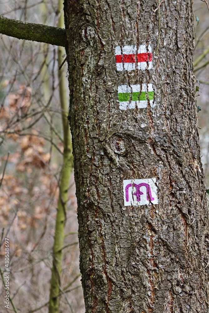 Fototapeta premium Via Mariae Pfadmarkierung am Baum