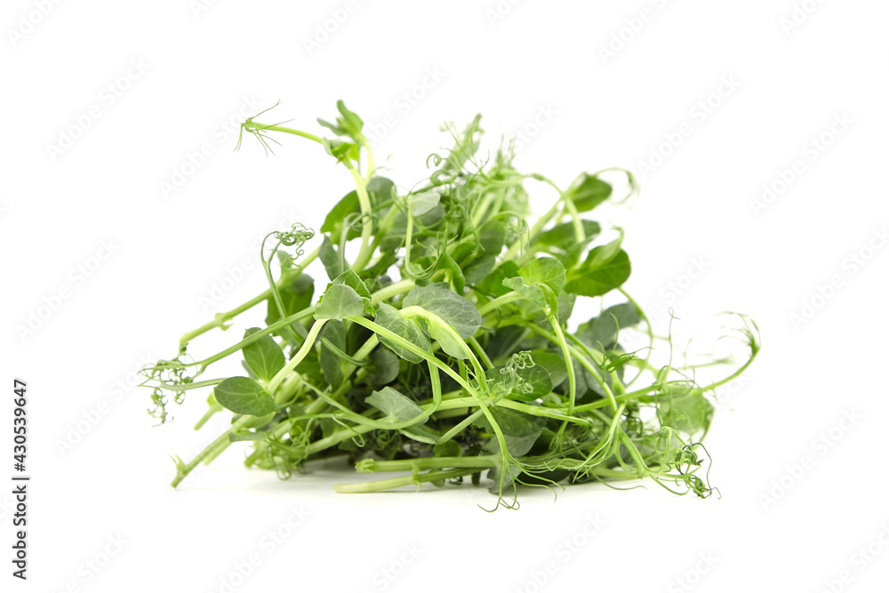 Pea microgreens isolated on white background. Fresh micro greens shoots Pea microgreens isolated on white background. Fresh micro greens shoots