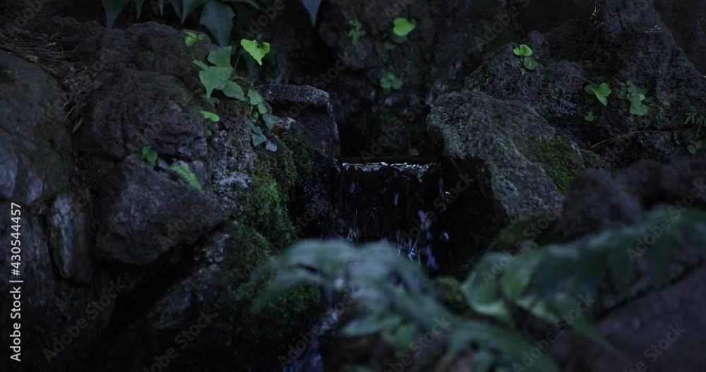 A slow motion of water fall in the forest daytime A slow motion of water fall in the forest daytime